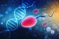 Аналіз на фрагментацыю ДНК сперматазоідаў: каму і навошта?