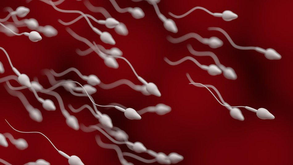Аналіз на спеласць сперматазоідаў