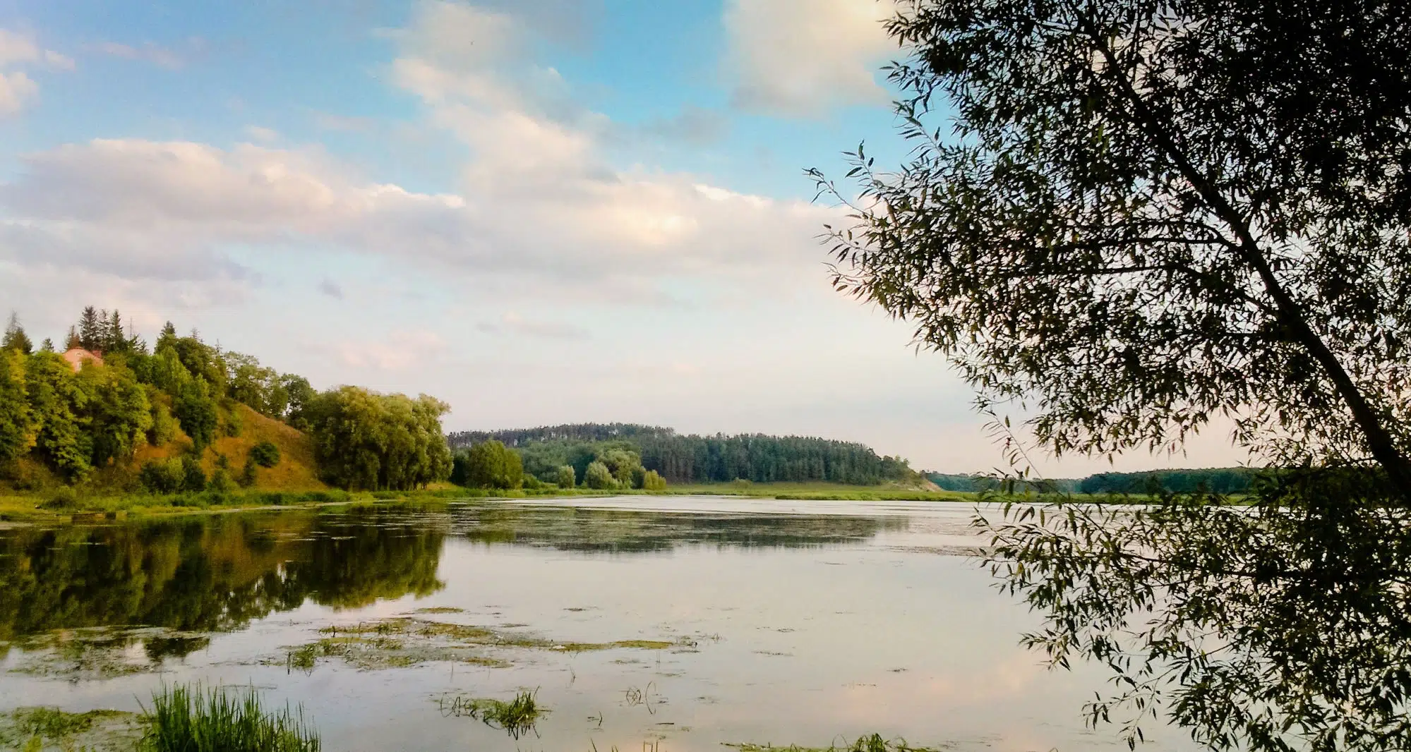 Река беларуси фото