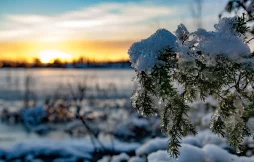 Народны каляндар на снежань