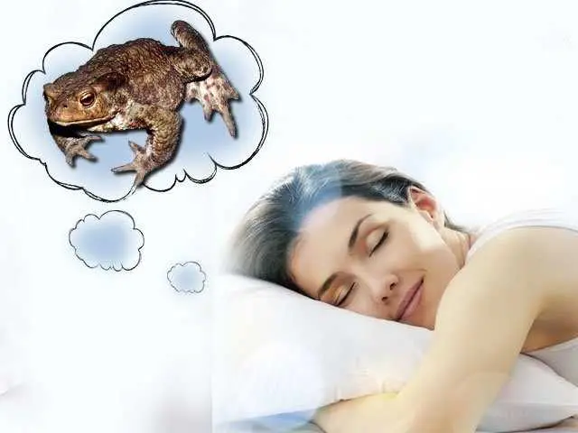 Сон пра жабу