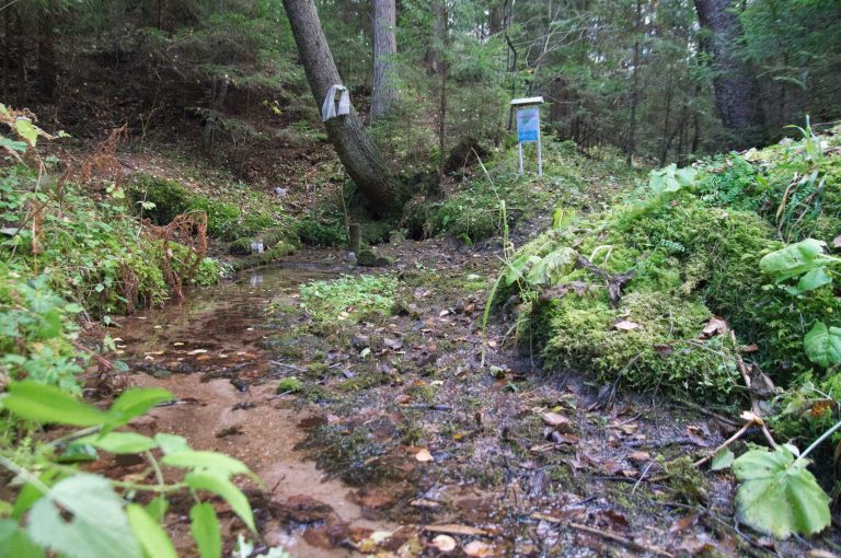 Крыніца_Святая_вада-Губы-Вілейскі-раён