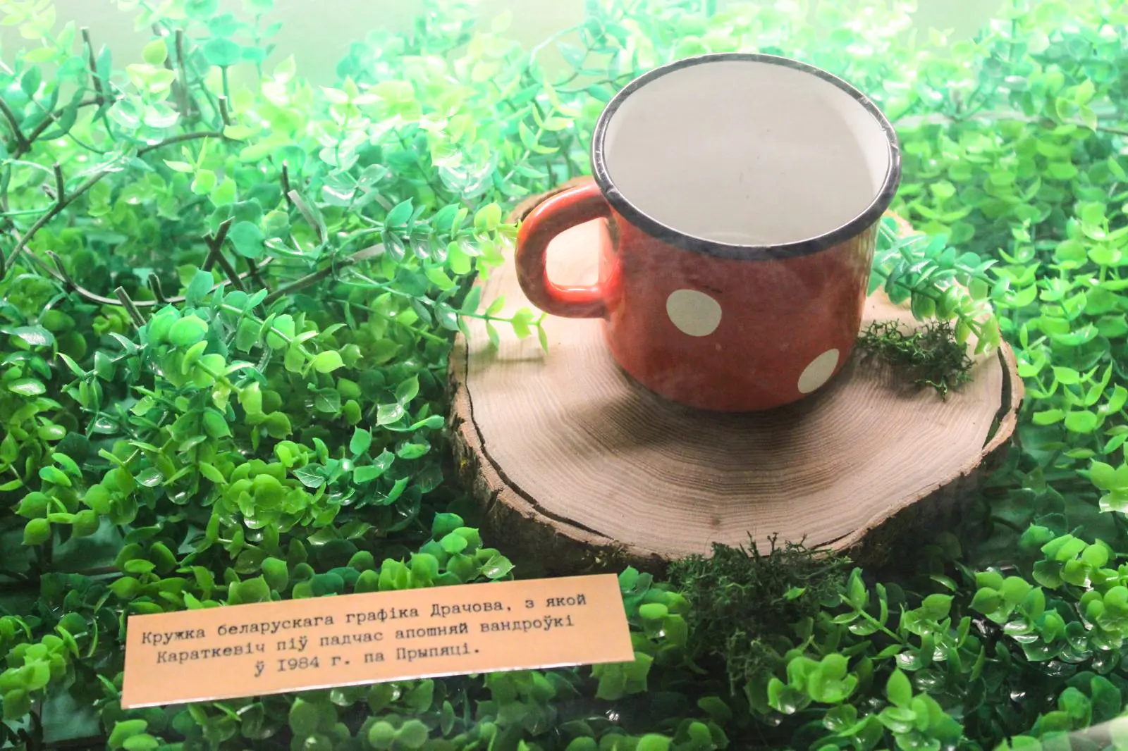 Кружка Караткевіча