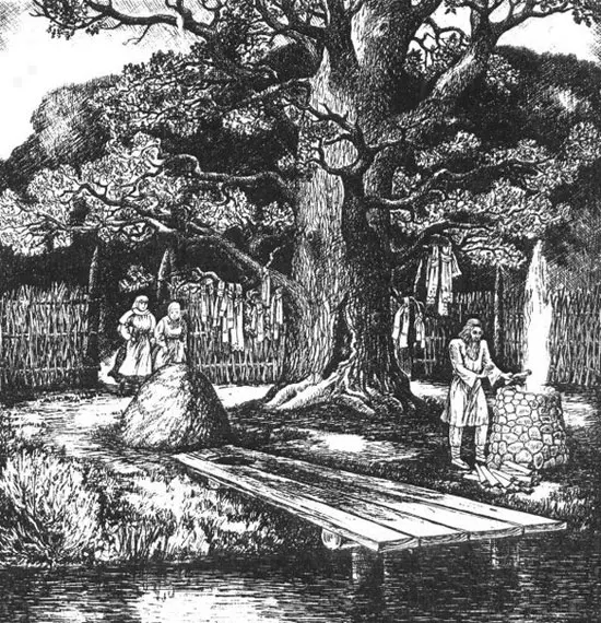 Дуб Волат на Мінскім капішчы