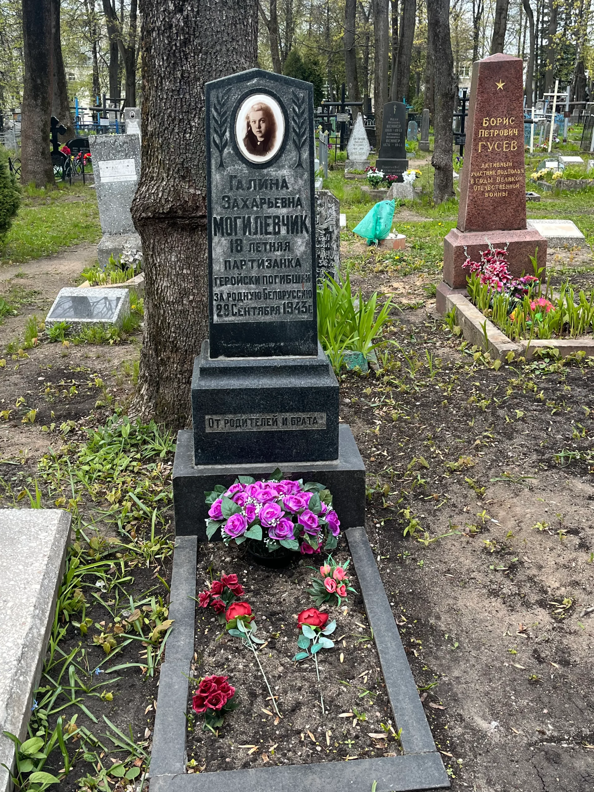 Галіна Магілеўчык